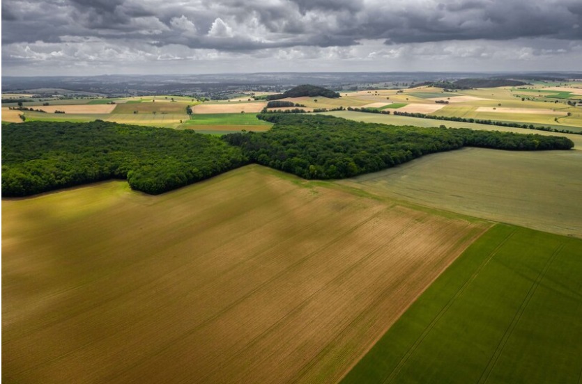 Questões do Enem de Geografia agrária