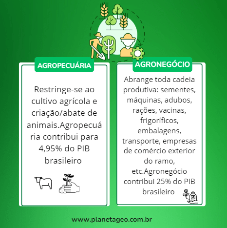 Resumo: Agricultura Brasil e mundo