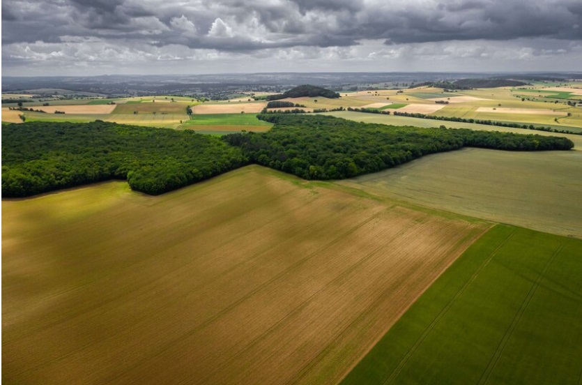 Agricultura