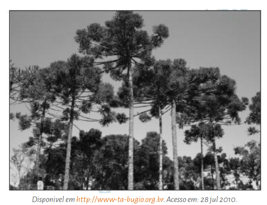 Banco de questões de Geografia Física