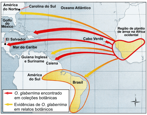questão discursiva unicamp 2023
