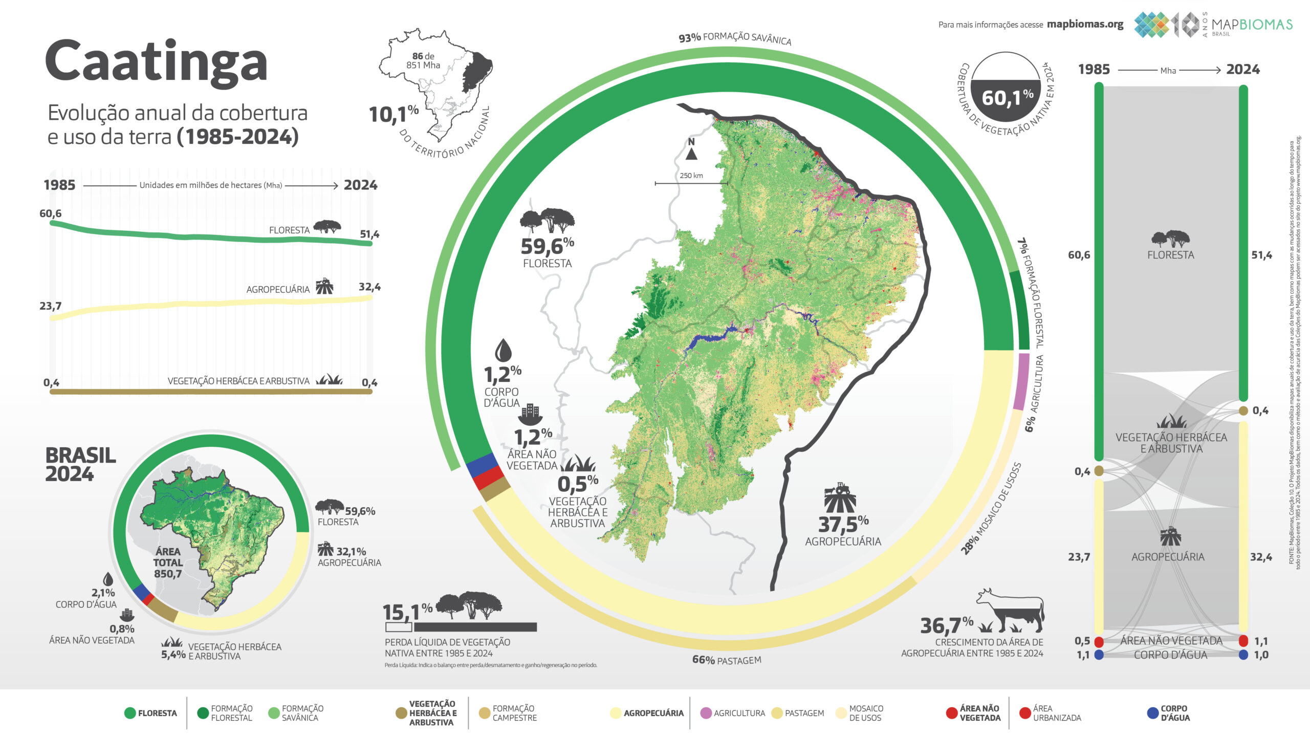 Infográfico do bioma Caatinga: vegetação xerófita e semiárido