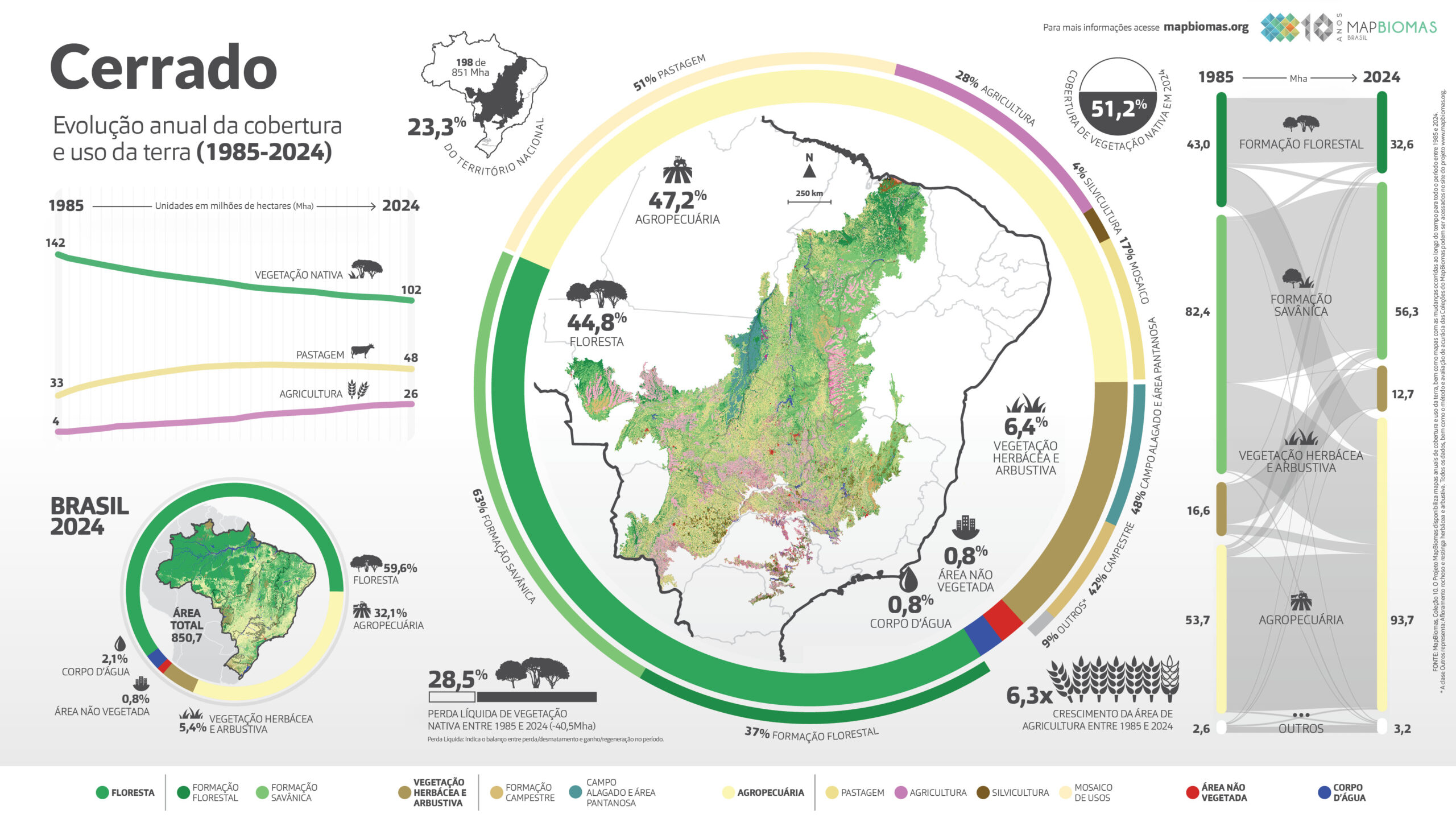 Infográfico do bioma Cerrado: vegetação, fauna e ameaças