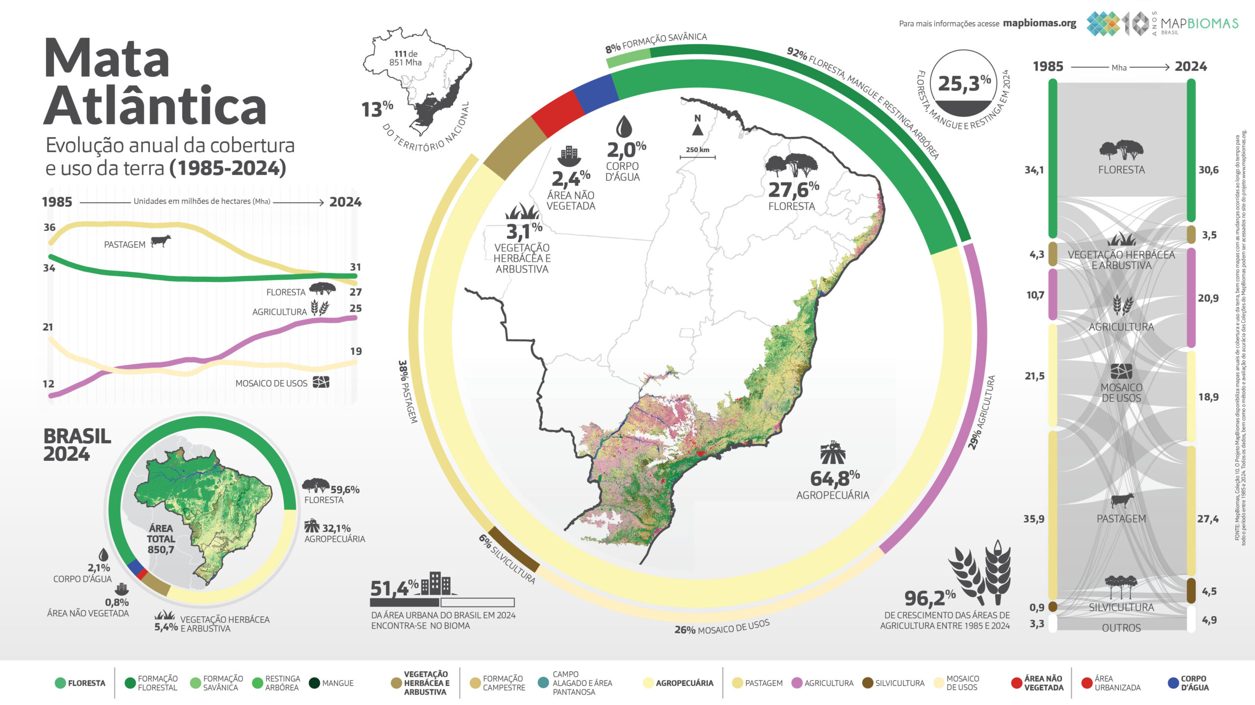 Infográfico do bioma Mata Atlântica: biodiversidade, devastação e remanescentes
