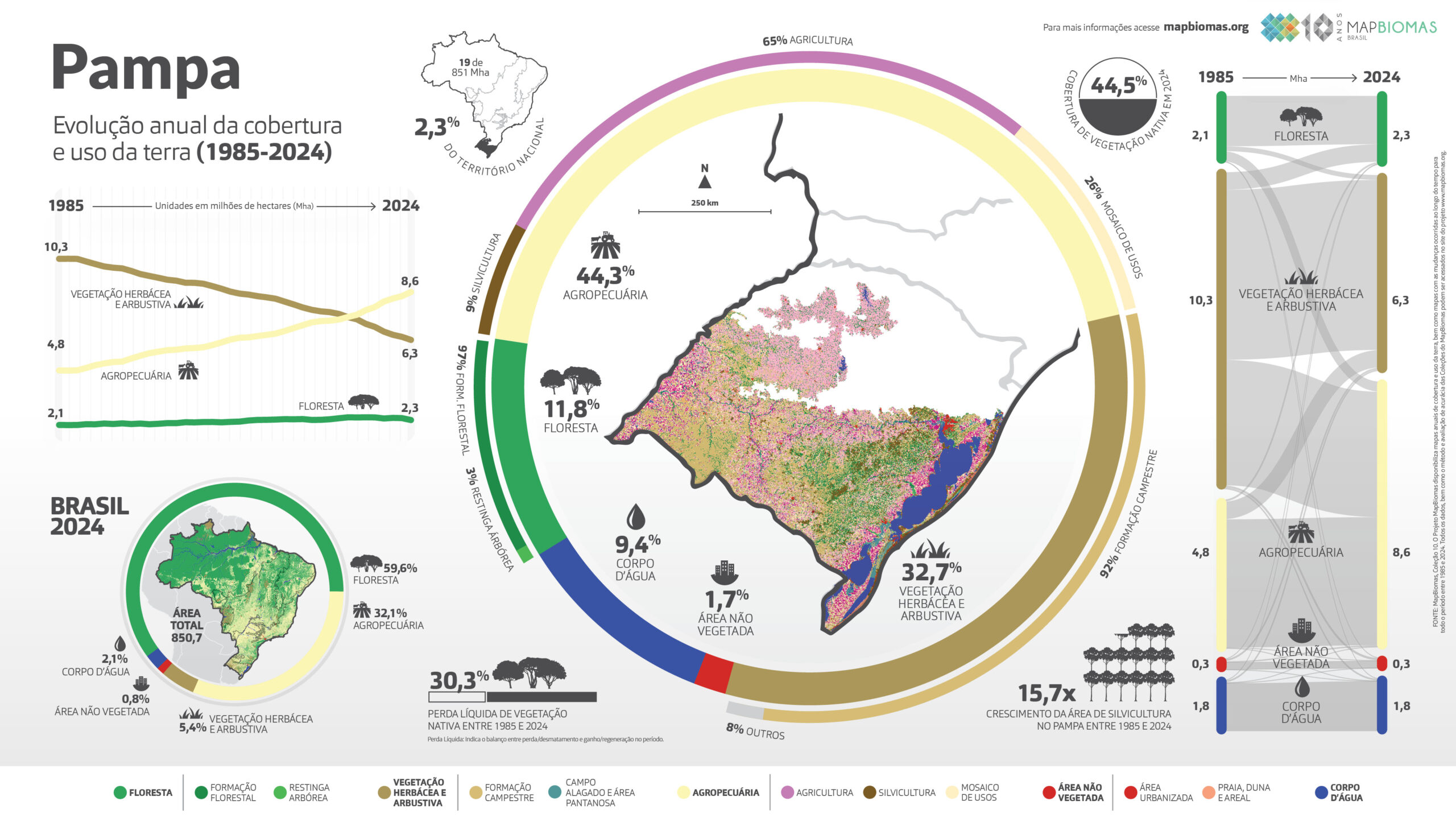 Infográfico do bioma Pampa: campos sulinos, pecuária e arenização