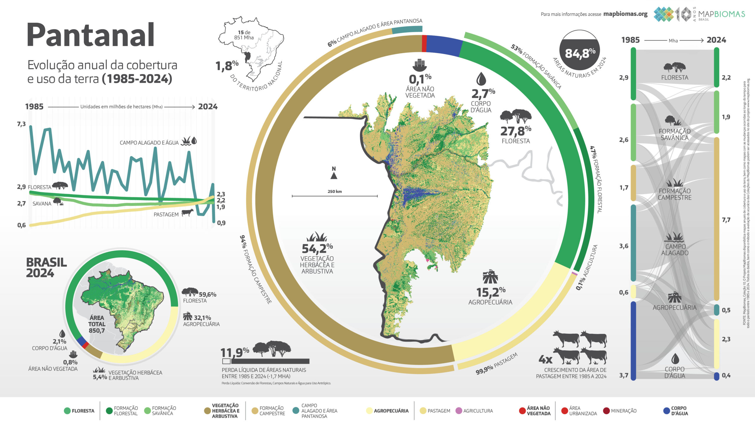 Infográfico do bioma Pantanal: planície alagável e pulso de inundação