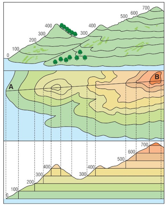 Perfil topográfico traçado a partir das curvas de nível