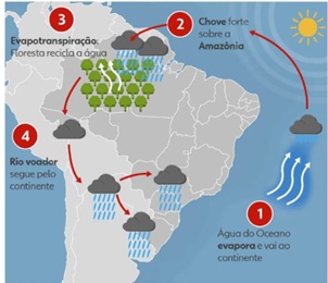 Esquema dos rios voadores: umidade da Amazônia transportada até o Centro-Sul do Brasil