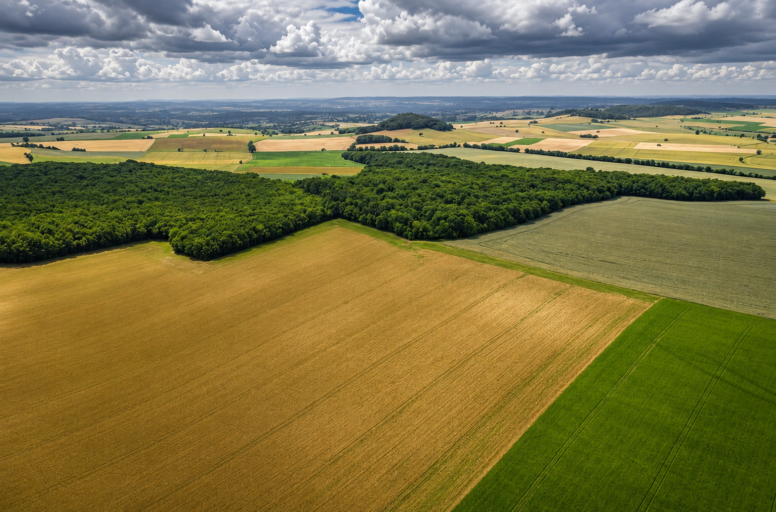 Agricultura moderna: paisagem rural