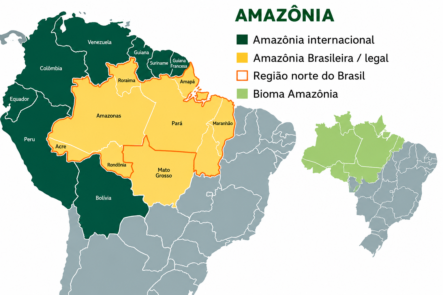 Amazônia Legal e Amazônia internacional