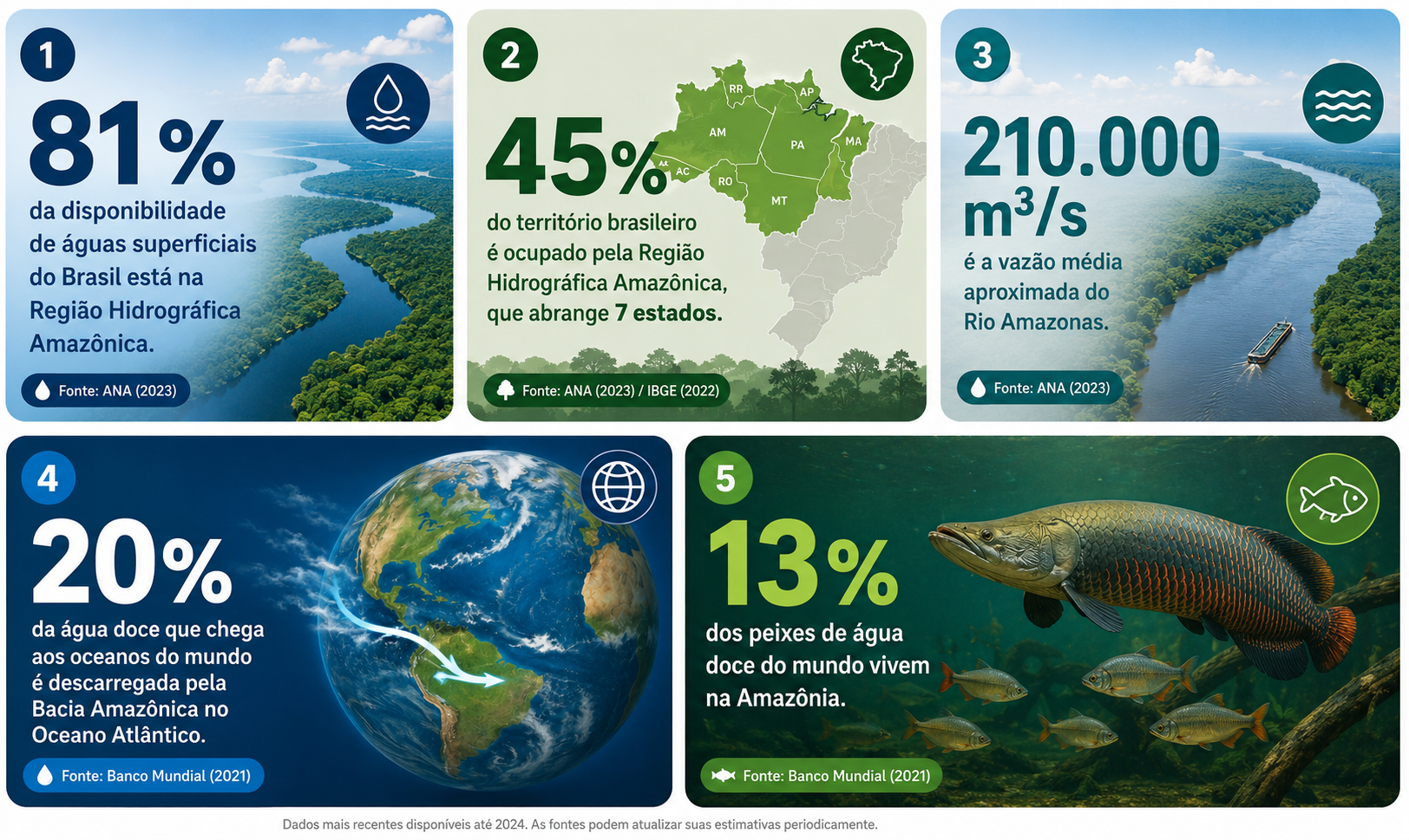 Cards com dados da Amazônia