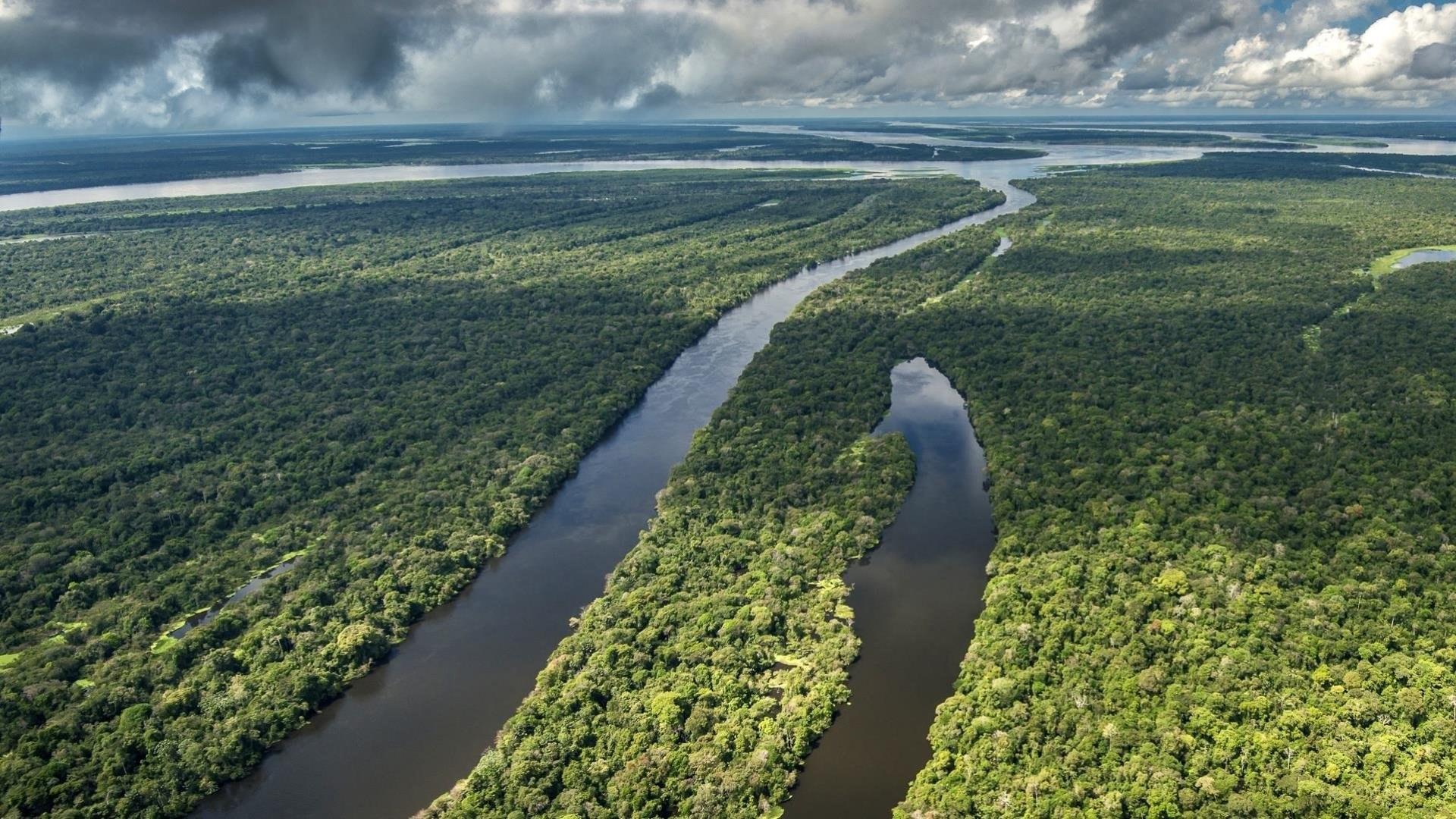 Floresta amazônica e sua rede de rios