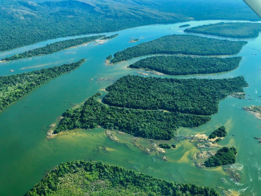 Rio de águas claras com praia e vegetação de terra firme na Amazônia