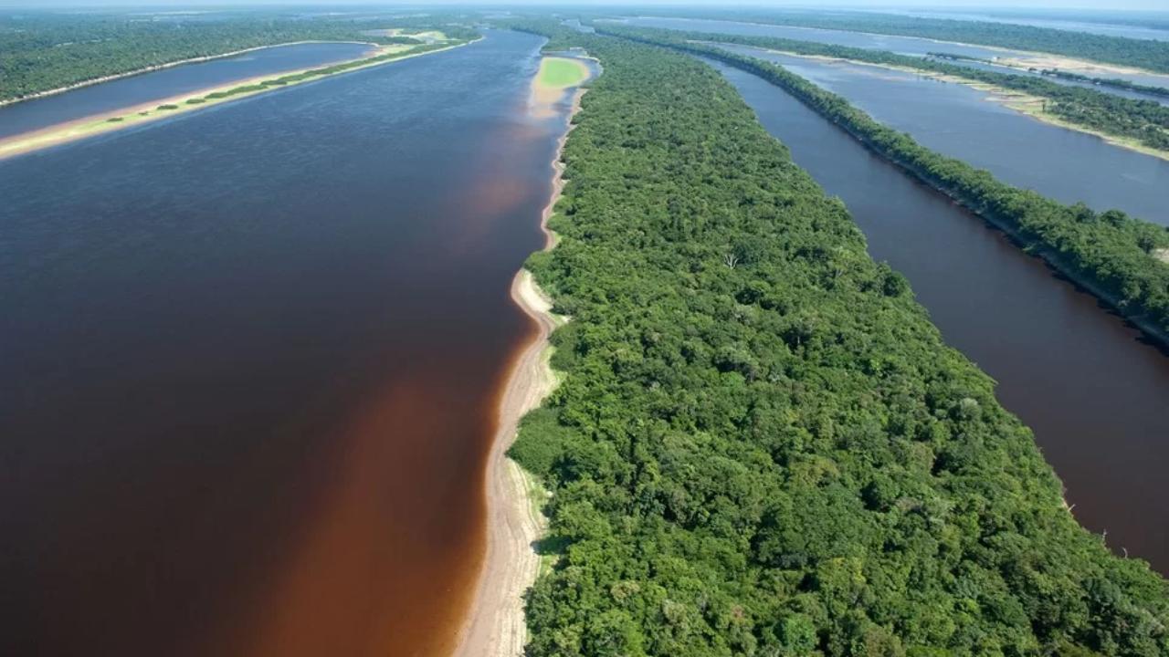 Detalhe do Rio Negro, de águas escuras, na Amazônia