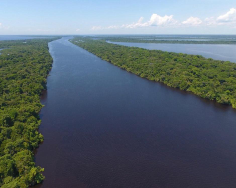 Rio Negro, exemplo de rio de águas pretas da Amazônia, com água escura cor de chá